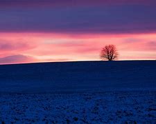 Image result for Snow-Covered Field