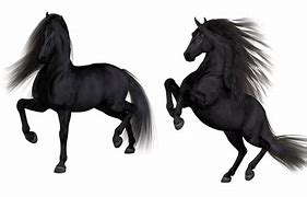 Image result for Horse Racing SVG