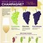 Image result for Different Types of Champagne Glasses