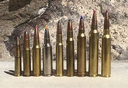 Image result for 30 Caliber Rifle Cartridges