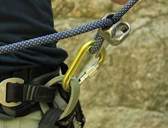 Image result for Petzl Climbing Carabiner