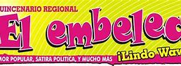 Image result for embeleco