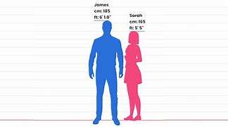 Image result for How Big Is 4 Foot Person