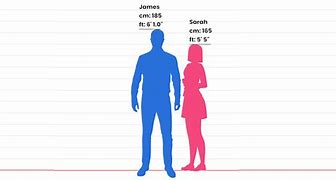 Image result for How Tall Is 19 Inches