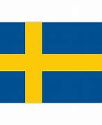 Image result for Sweden Flag Logo