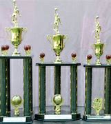Image result for Aikkido Tournament Trophy