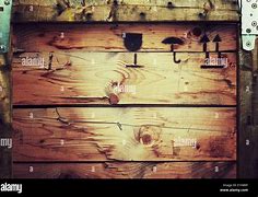 Image result for Shipping Crate Texture