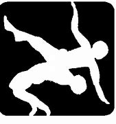 Image result for USA Wrestling Logo Minnesota