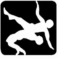 Image result for USA Wrestling Symbol