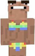 Image result for Meme Skins Minecraft