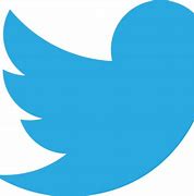 Image result for Twitter Logo Transparent