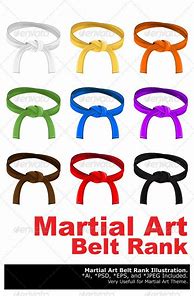 Image result for Martial Arts Belt Symbol