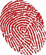 Image result for Fingerprint Transparent
