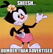 Image result for Animaniacs Memes Clean Funny