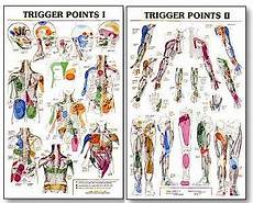 Trigger Point Charts Showing The Many Common Referral