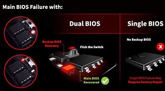 Image result for Do They Still Sell Dual Bios