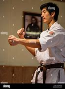Image result for Isshinryu