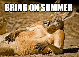 Image result for Bring On Summer Meme