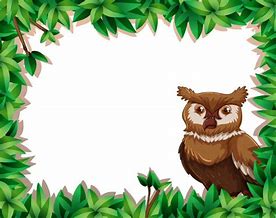 Image result for Owl Border Clip Art