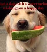 Image result for OH Happy Day Funny Images