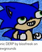 Image result for Derp Sonic Meme