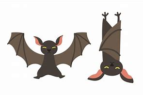 Image result for Cute Bat Illustration