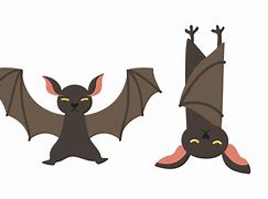 Image result for Bat Illustration