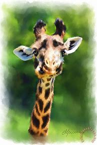 Image result for Funny Giraffe Art