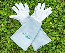 Image result for Best Rose Pruning Gloves
