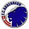 Image result for FC Copenhagen Logo
