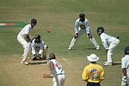 Image result for Jamaican Cricket