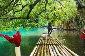 Image result for Beautiful Places in Jamaica