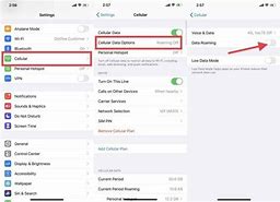 Image result for Data Roaming Off iPhone