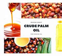 Image result for CPO Crude Palm Oil