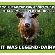 Image result for Cow Mooing Meme