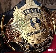 Image result for All WWE Belts