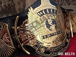 Image result for WWE Winged Eagle Belt