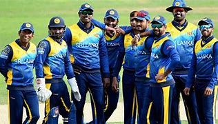 Image result for Cricket Bat Grip in Sri Lanka