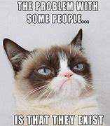 Image result for Grumpy Cat Tiger Meme
