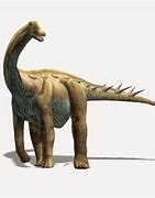 Image result for Titanosaur Skeleton