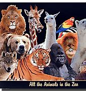 Image result for Animal Art Poster