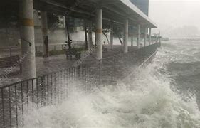 Image result for Hong Kong Storm Surge
