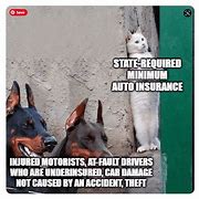 Image result for Auto Insurance Memes