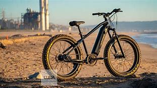 Image result for Belt Drive Fat Bike