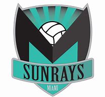 Image result for Miami Heat Logo