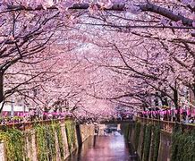 Image result for Jepang