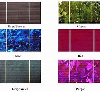 Image result for Colored Solar Panels