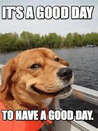 Image result for Your Best Today Meme