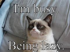Image result for Lazy Booking Meme