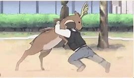 Image result for Man Deer Meme